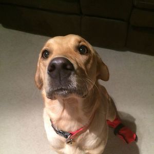 Meet your Posher, Eric